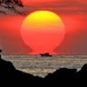 Meet your Posher, Caleb